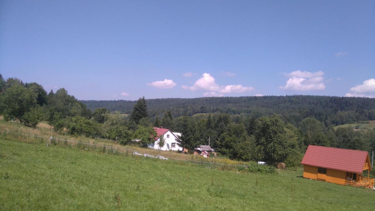 Stankowa Przystanek Bieszczady 빌라 외부 사진